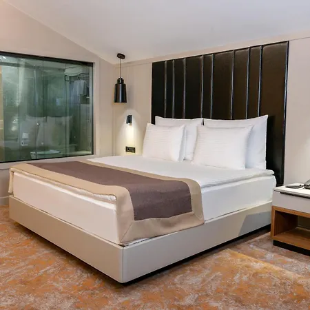 Dedeman Hotel